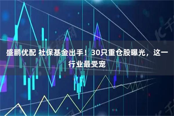 盛鹏优配 社保基金出手！30只重仓股曝光，这一行业最受宠